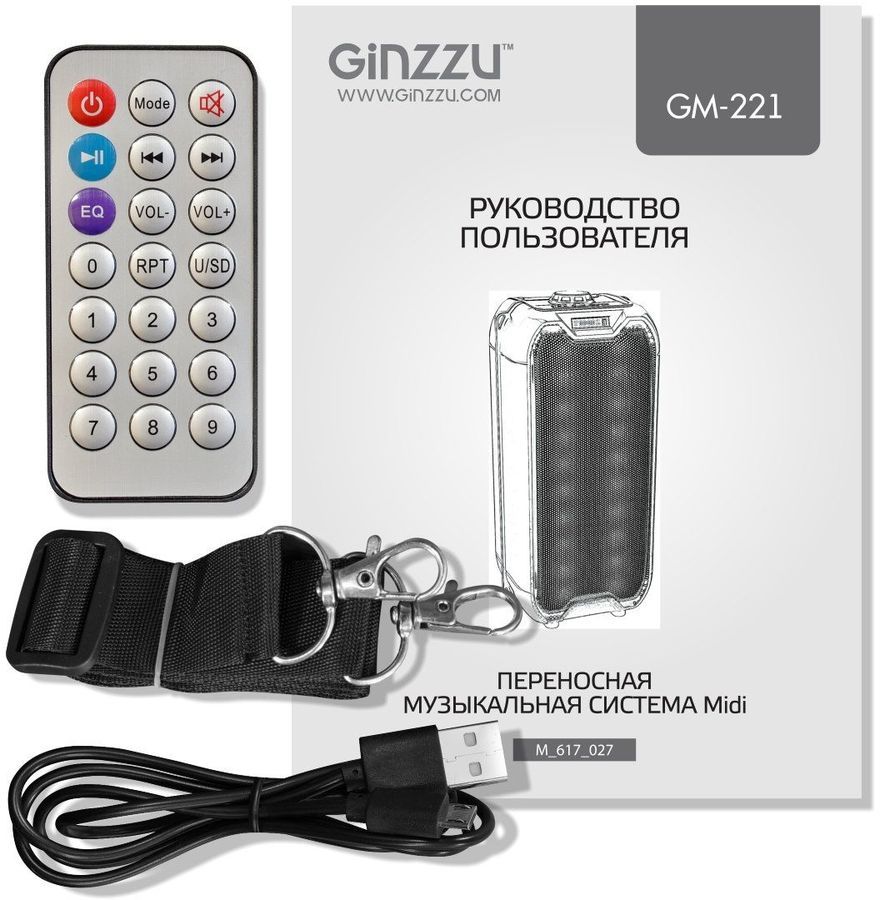 Портативная аудиосистема Ginzzu GM-221 черный