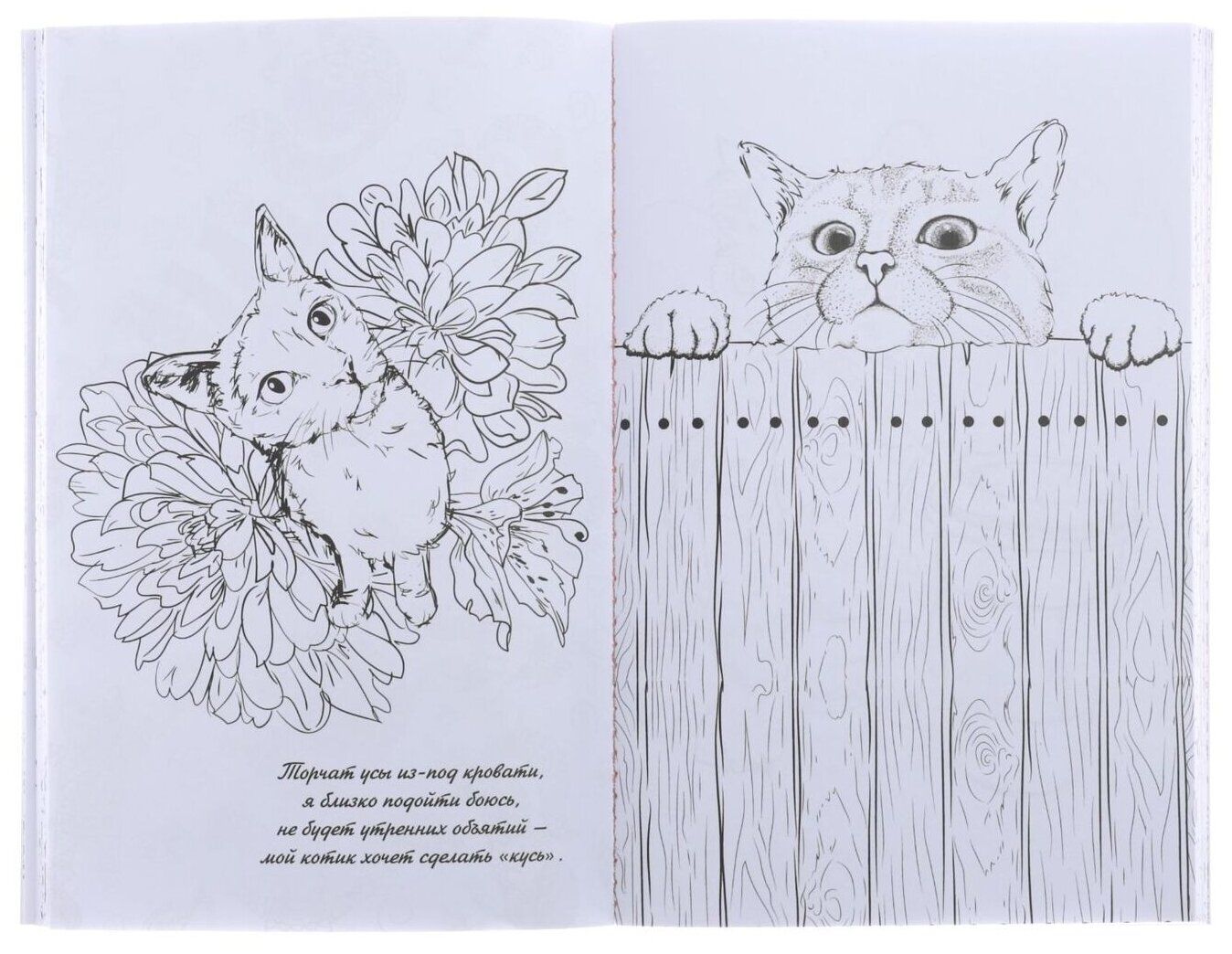 Раскраска-антистресс «Только котики», 32 страниц