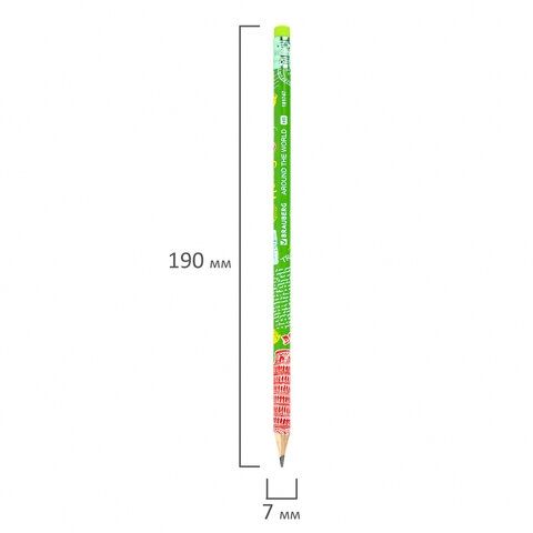 Карандаш чернографитный  "AROUND THE WORLD", 1 шт., HB, с ластиком, корпус ассорти, BRAUBERG