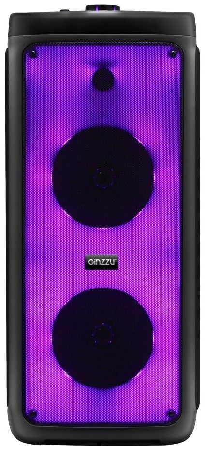 Портативная аудиосистема Ginzzu GM-218 черный
