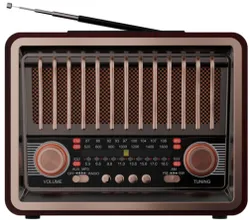 Радиоприемник Ritmix RPR-089 коричневый