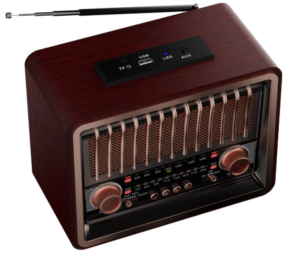 Радиоприемник Ritmix RPR-089 коричневый